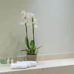 Essence 4* Argostoli (Kefalonia)